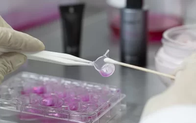 Aplicação de pele humana reconstruída in vitro em testes cosméticos